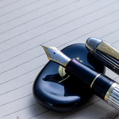 Pilot Custom 745 Sterling Silver 18K #10 F Nib Fountain Pen
