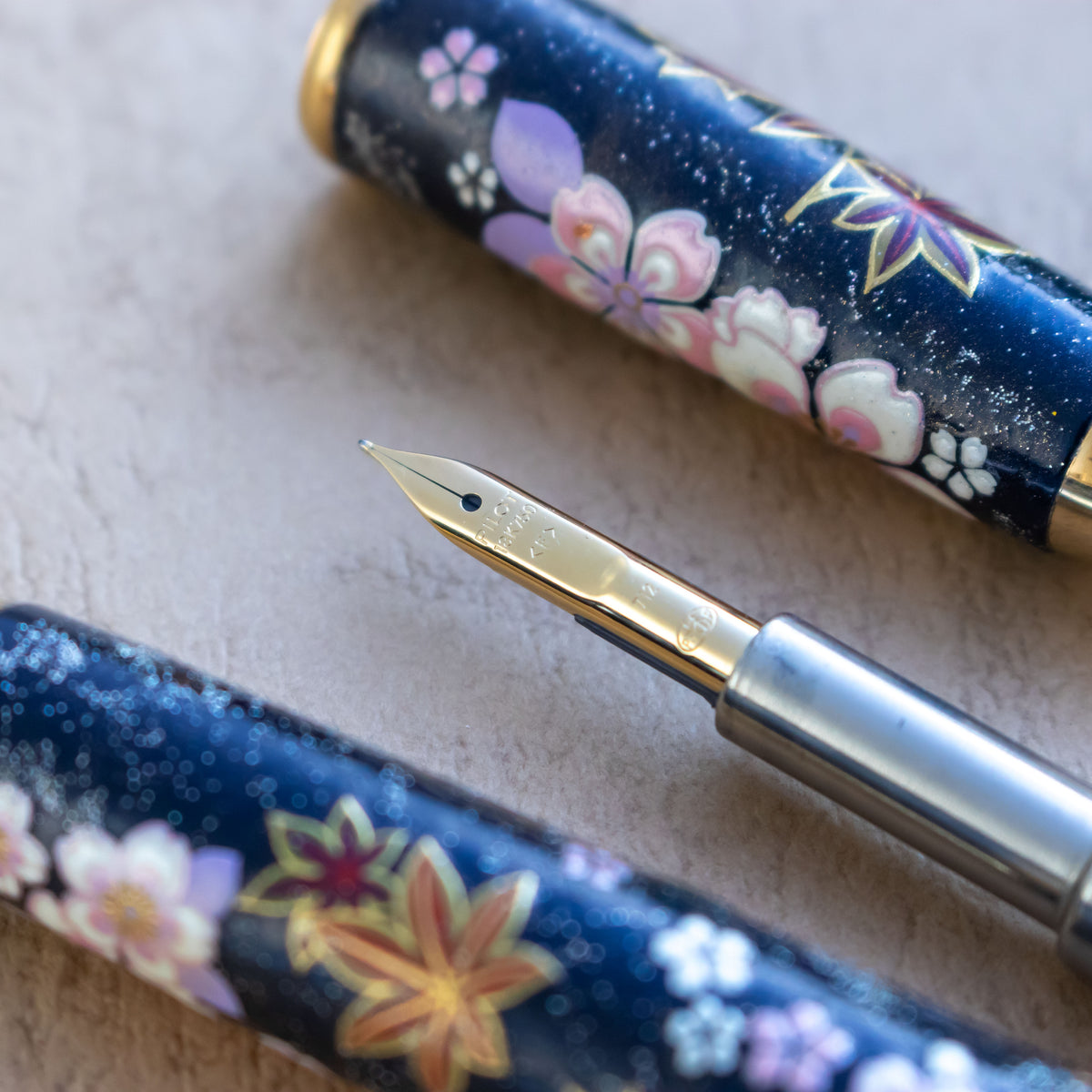Custom Pilot Vanishing Point Capless Four Seasons Fountain Pen 18K F Gold Nib