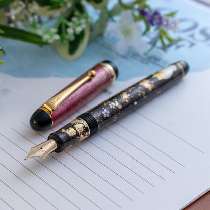 Custom Pilot Custom 74 Golden Neko Fountain Pen 14K #5 B Gold Nib