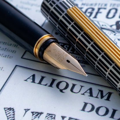 Rare 1970s Pilot Deluxe Chekered Metal Nib Fountain Pen