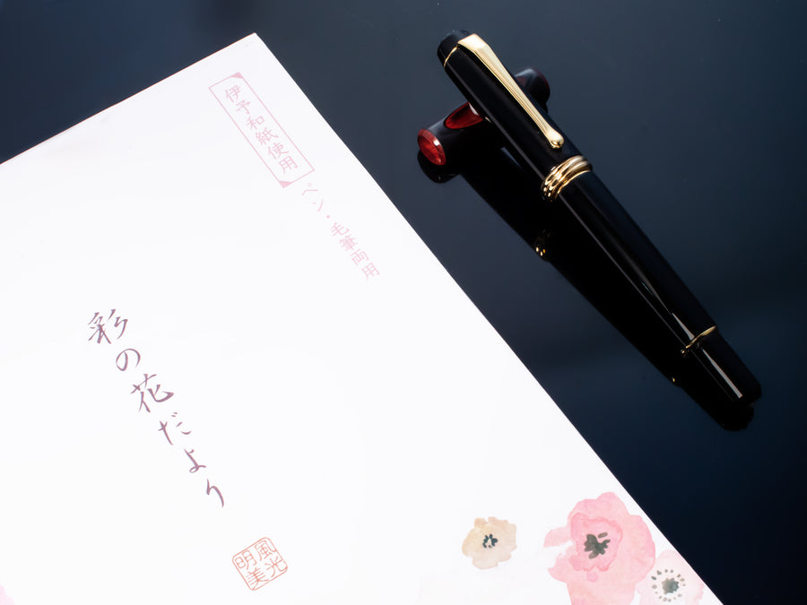 Kuretake Dream Galaxy Black 14K Bock #6 Medium Size Nib Fountain Pen